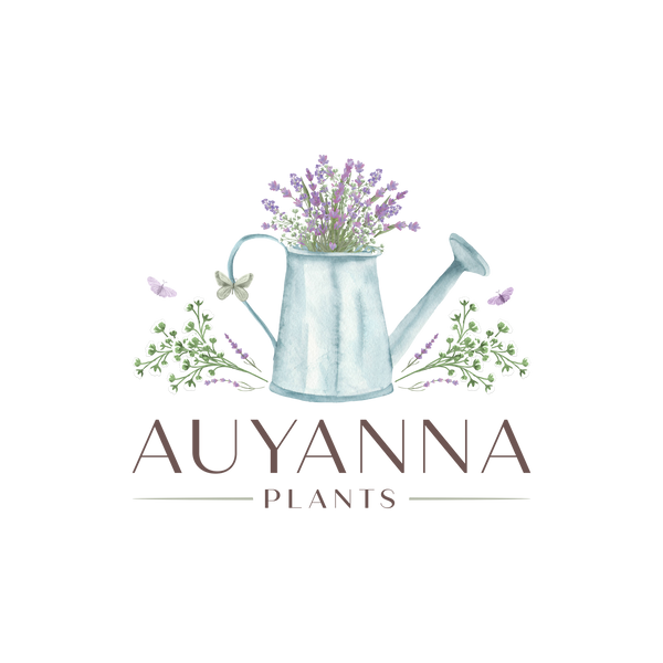 AUYANNA PLANTS